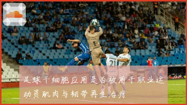 足球干细胞应用是否被用于职业运动员肌肉与韧带再生治疗