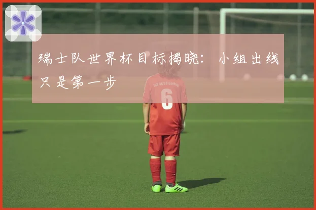 瑞士队世界杯目标揭晓：小组出线只是第一步