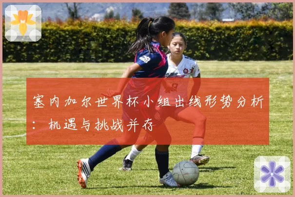 塞内加尔世界杯小组出线形势分析：机遇与挑战并存